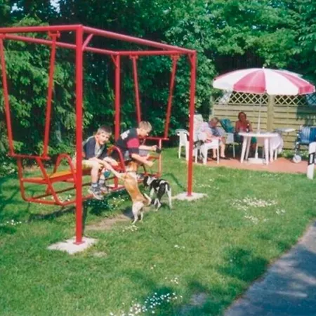 Niemann 7 Haselünne