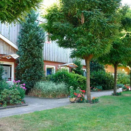 Niemann 7 Haselünne